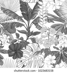 Seamless pattern, background with tropical plants.  Hand drawn monochrome vector illustration without transparent and gradients.