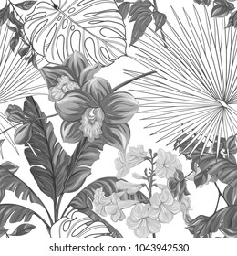 Seamless pattern, background with tropical plants.  Hand drawn monochrome vector illustration without transparent and gradients.