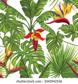 Seamless pattern, background with tropical plants: monstera,  strelitzia,  bougainvillea, hibiscus, palm. Hand drawn colorful vector illustration without transparent and gradients.