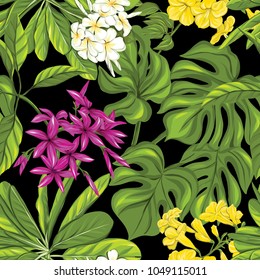 Seamless pattern, background with tropical plants: monstera,  bougainvillea, hibiscus, palm on black background. Hand drawn colorful vector illustration without transparent and gradients.
