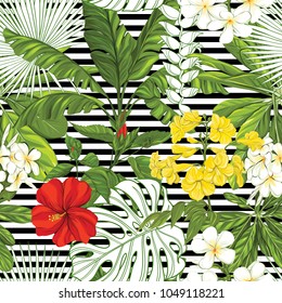 Seamless pattern, background with tropical plants: monstera, bougainvillea, hibiscus, palm on on b&w stripes background. Hand drawn colorful vector illustration without transparent and gradients.