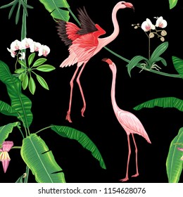 Seamless pattern, background. with tropical plants and flowers with white orchid and tropical birds. Colored vector illustration without gradients and transparency. Isolated on black background.
