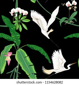 Seamless pattern, background. with tropical plants and flowers with white orchid and tropical birds. Colored vector illustration without gradients and transparency. Isolated on black background.
