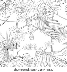 Seamless pattern, background. with tropical plants and flowers with white orchid and tropical birds. Outline hand drawing vector illustration.