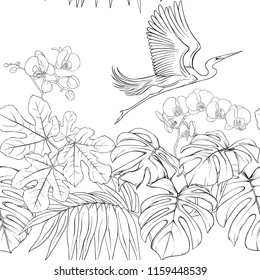 Seamless pattern, background. with tropical plants and flowers with white orchid and tropical birds. Outline hand drawing vector illustration.