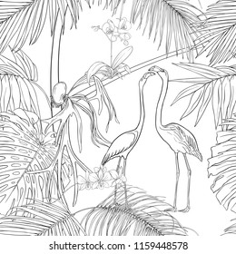 Seamless pattern, background. with tropical plants and flowers with white orchid and tropical birds. Outline hand drawing vector illustration.