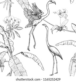 Seamless pattern, background. with tropical plants and flowers with white orchid and tropical birds. Graphic drawing, engraving style. vector illustration. Black and white.
