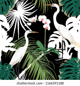 Seamless pattern, background. with tropical plants and flowers with white orchid and tropical birds. Colored and silhouette design. Vector illustration. Isolated on black background.