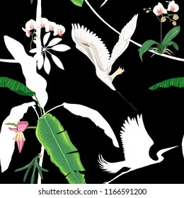 Seamless pattern, background. with tropical plants and flowers with white orchid and tropical birds. Colored and silhouette design. Vector illustration. Isolated on black background.