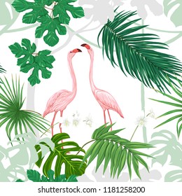 Seamless pattern, background. with tropical plants and flowers with white orchid and tropical birds. Colored and silhouette design. Vector illustration. Isolated on white background.