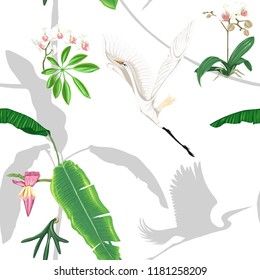Seamless pattern, background. with tropical plants and flowers with white orchid and tropical birds. Colored and silhouette design. Vector illustration. Isolated on white background.