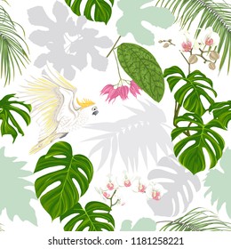 Seamless pattern, background. with tropical plants and flowers with white orchid and tropical birds. Colored and silhouette design. Vector illustration. Isolated on white background.
