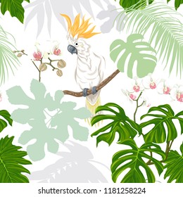 Seamless pattern, background. with tropical plants and flowers with white orchid and tropical birds. Colored and silhouette design. Vector illustration. Isolated on white background.