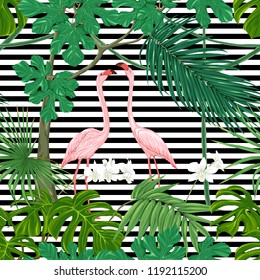 Seamless pattern, background. with tropical plants and flowers with white orchid and tropical birds On black and white stripes background. Colored vector illustration 