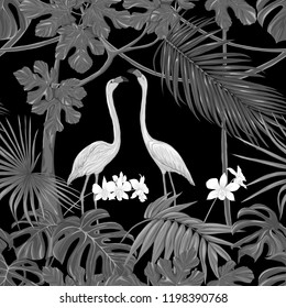 Seamless pattern, background. with tropical plants and flowers with white orchid and tropical birds. Vector illustration. In monochrome gray colors