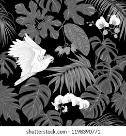 Seamless pattern, background. with tropical plants and flowers with white orchid and tropical birds. Vector illustration. In monochrome gray colors
