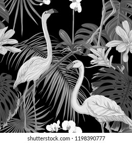 Seamless pattern, background. with tropical plants and flowers with white orchid and tropical birds. Vector illustration. In monochrome gray colors