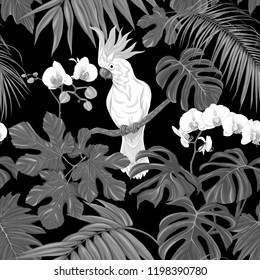 Seamless pattern, background. with tropical plants and flowers with white orchid and tropical birds. Vector illustration. In monochrome gray colors