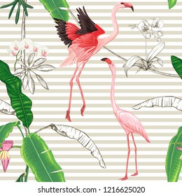 Seamless pattern, background. with tropical plants and flowers with white orchid and tropical birds On beige and white stripes background.. Colored and outline design. Vector illustration.
