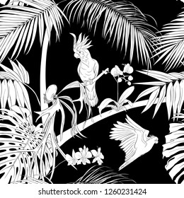 Seamless pattern, background. with tropical plants and flowers with white orchid and tropical birds.  Black-and-white graphics. Vector illustration.