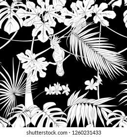 Seamless pattern, background. with tropical plants and flowers with white orchid and tropical birds.  Black-and-white graphics. Vector illustration.