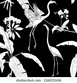 Seamless pattern, background. with tropical plants and flowers with white orchid and tropical birds.  Black-and-white graphics. Vector illustration.
