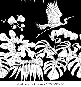 Seamless pattern, background. with tropical plants and flowers with white orchid and tropical birds.  Black-and-white graphics. Vector illustration.
