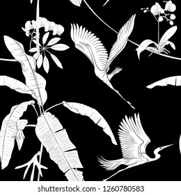Seamless pattern, background. with tropical plants and flowers with white orchid and tropical birds.  Black-and-white graphics. Vector illustration.
