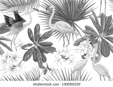 Seamless pattern, background with tropical plants, flowers and birds. Colored vector illustration. In monochrome gray colors