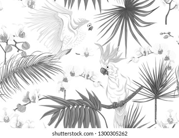 Seamless pattern, background with tropical plants, flowers and birds. Colored vector illustration. In monochrome gray colors