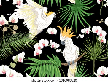 Seamless pattern, background with tropical plants, flowers and birds. Colored vector illustration. Isolated on black background.