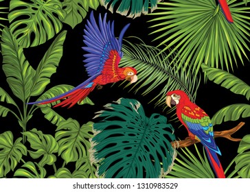 Seamless pattern, background with tropical plants, flowers and birds. Colored vector illustration. Isolated on black background.