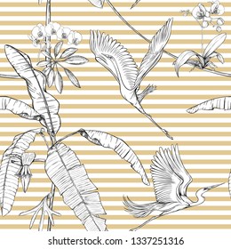 Seamless pattern, background. with tropical plants and flowers with white orchid and tropical birds. Graphic drawing, engraving style. vector illustration. Black and white on beige and white stripes.