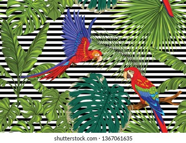 Seamless pattern, background with tropical plants, flowers and birds. Colored vector illustration. On black and white stripes background