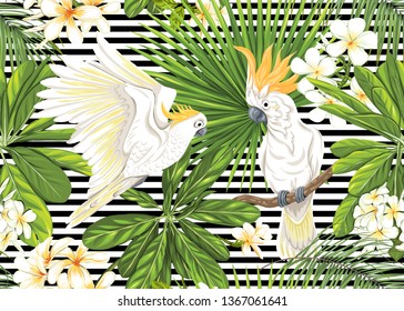 Seamless pattern, background with tropical plants, flowers and birds. Colored vector illustration. On black and white stripes background