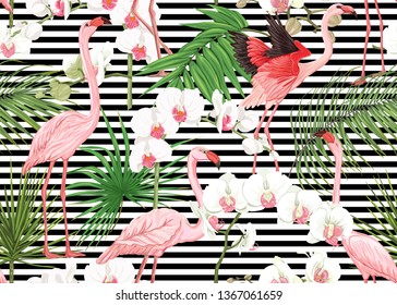 Seamless pattern, background with tropical plants, flowers and birds. Colored vector illustration. On black and white stripes background