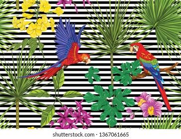 Seamless pattern, background with tropical plants, flowers and birds. Colored vector illustration. On black and white stripes background