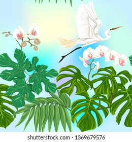Seamless pattern, background. with tropical plants and flowers with white orchid and tropical birds on sky blue background. Colored vector illustration 
