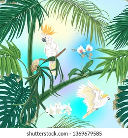 Seamless pattern, background. with tropical plants and flowers with white orchid and tropical birds on sky blue background. Colored vector illustration 