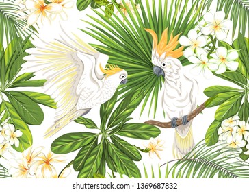Seamless pattern, background with tropical plants, flowers and birds. Colored vector illustration. Isolated on white background.