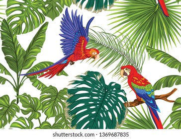 Seamless pattern, background with tropical plants, flowers and birds. Colored vector illustration. Isolated on white background.