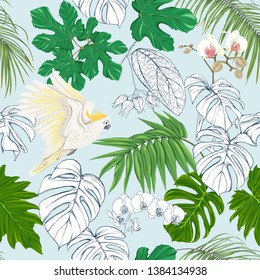 Seamless pattern, background. with tropical plants and flowers with white orchid and tropical birds on sky blue background. Colored and outline design. Vector illustration.
