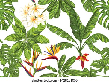 Seamless pattern, background with tropical plants, flowers. Colored vector illustration. Isolated on white background.
