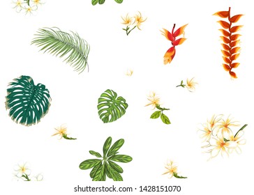 Seamless pattern, background with tropical plants, flowers. Colored vector illustration. Isolated on white background.