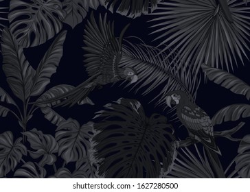 Seamless pattern, background. with tropical plants and flowers with orchid and tropical birds. Vector illustration in black colors..