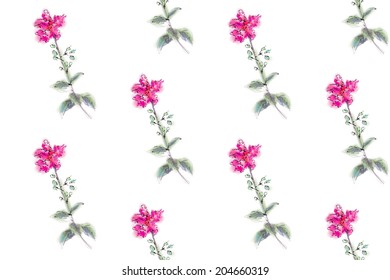 Seamless pattern background of water color flower,vector