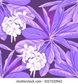 Seamless pattern, background with white plumeria.  Hand drawn monochrome ultra 
violet  vector illustration without transparent and gradients.