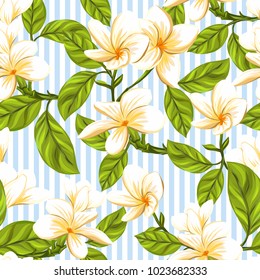 Seamless pattern, background with white plumeria on blue and white stripes background. Hand drawn colorful vector illustration without transparent and gradients.