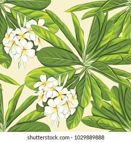 Seamless pattern, background with white plumeria on yellow background. Hand drawn colorful vector illustration without transparent and gradients.