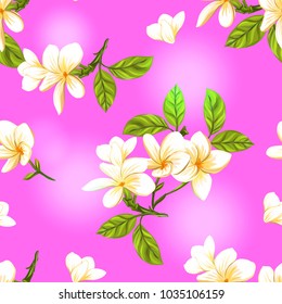 Seamless pattern, background with white plumeria on vanilla background. Hand drawn colorful vector illustration without transparent and gradients.